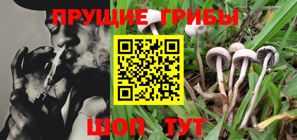 Галлюциногенные грибы Magic Shrooms Бугуруслан