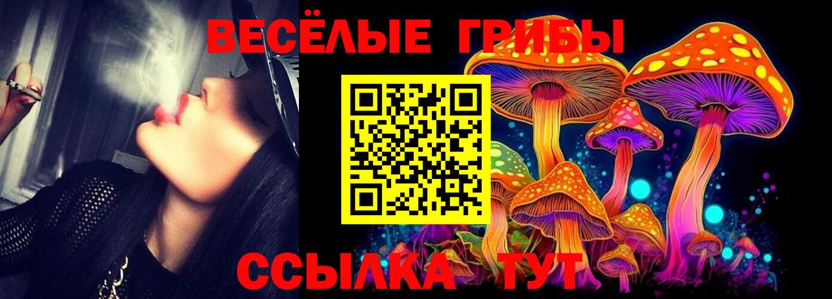 Псилоцибиновые грибы прущие грибы  Вход с VPN  магазин продажи наркотиков  Бугуруслан 
